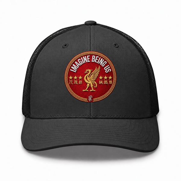 Imagine Being Us Cap (Grey)