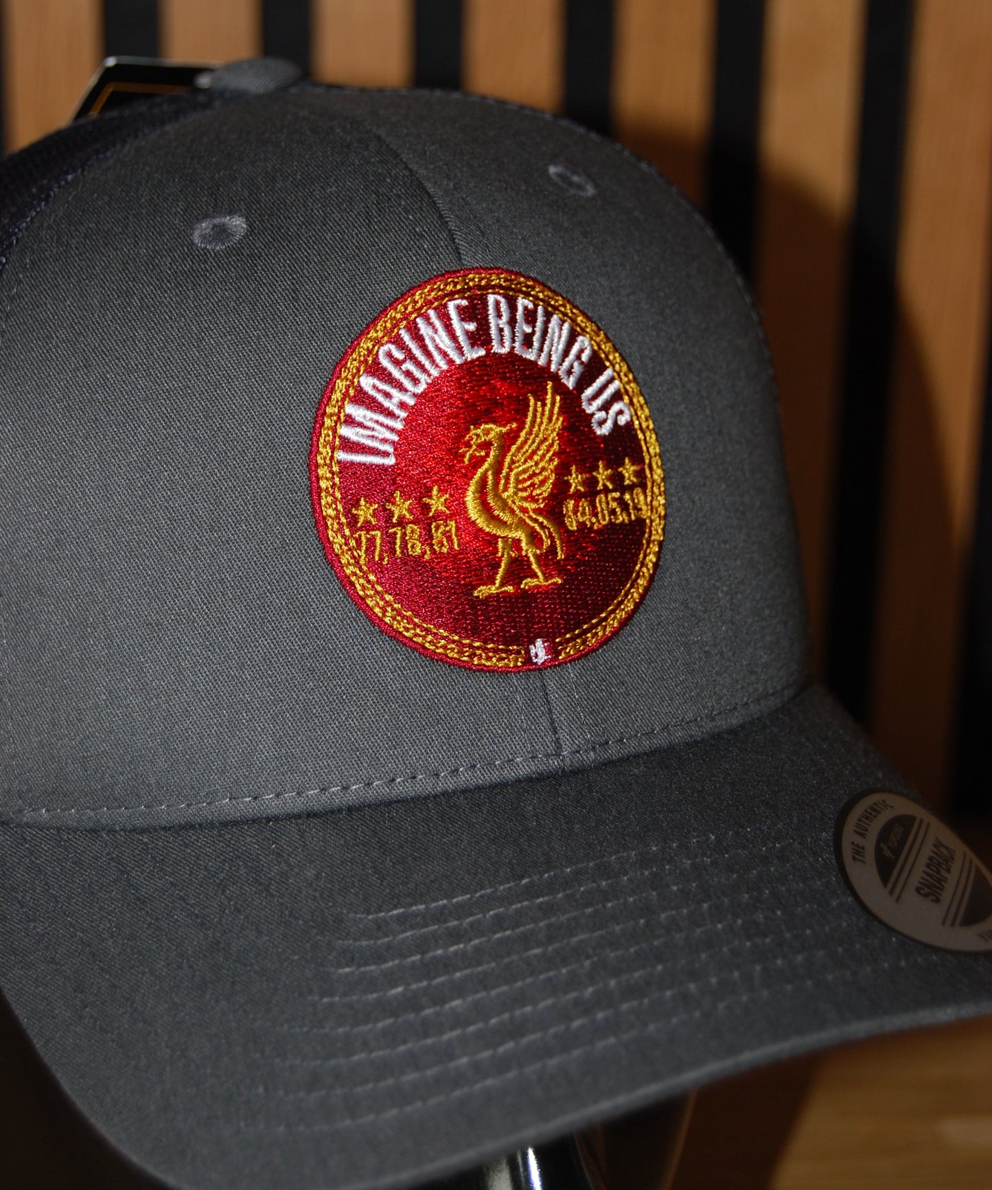Imagine Being Us Cap (Grey)