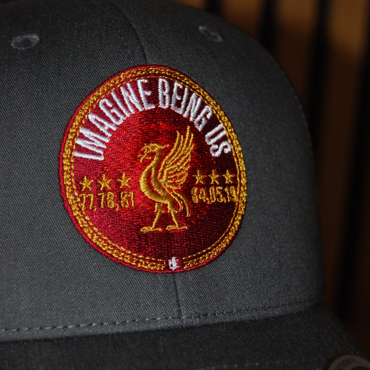 Imagine Being Us Cap (Grey)