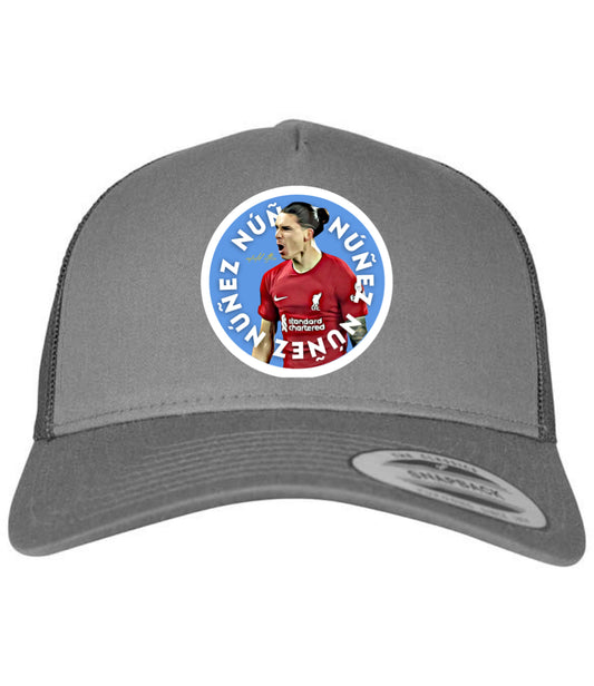 Darwin Nunez Cap